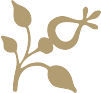 hedline-3-1.png
